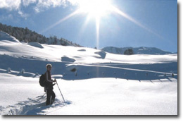 Schneeschuhlaufen, Schneeschuhwandern in Appenzell -am Bodensee in der Schweiz